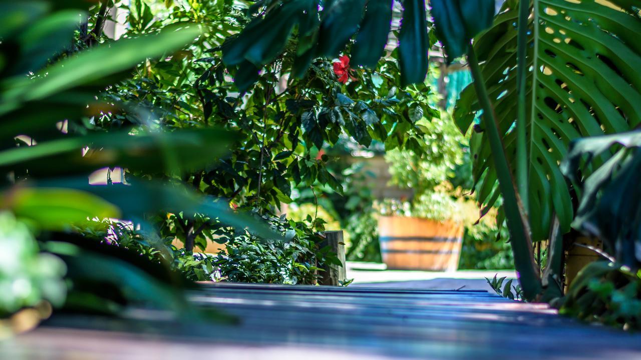 86 On Langenhoven Bed & Breakfast Oudtshoorn Exterior foto