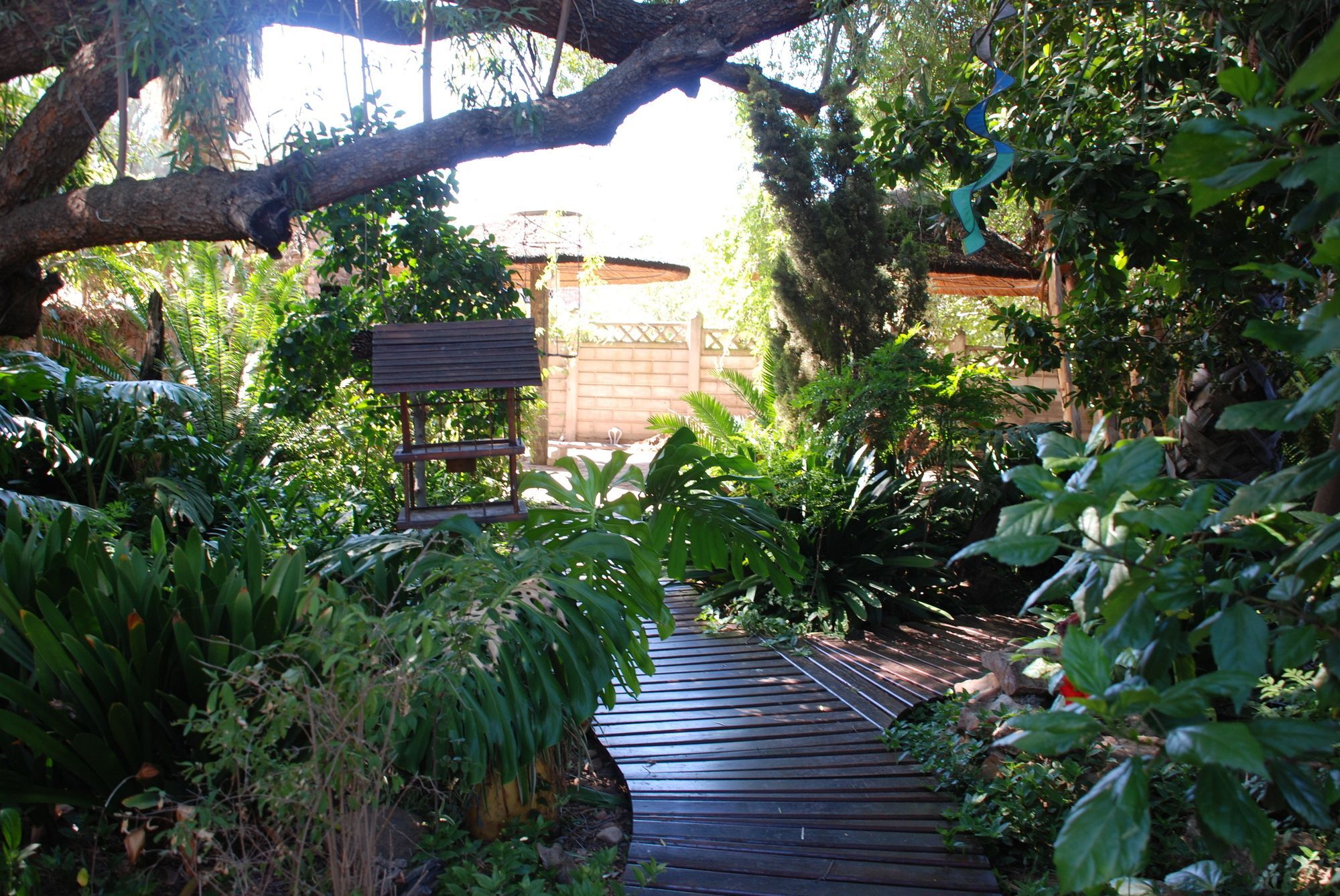 86 On Langenhoven Bed & Breakfast Oudtshoorn Exterior foto